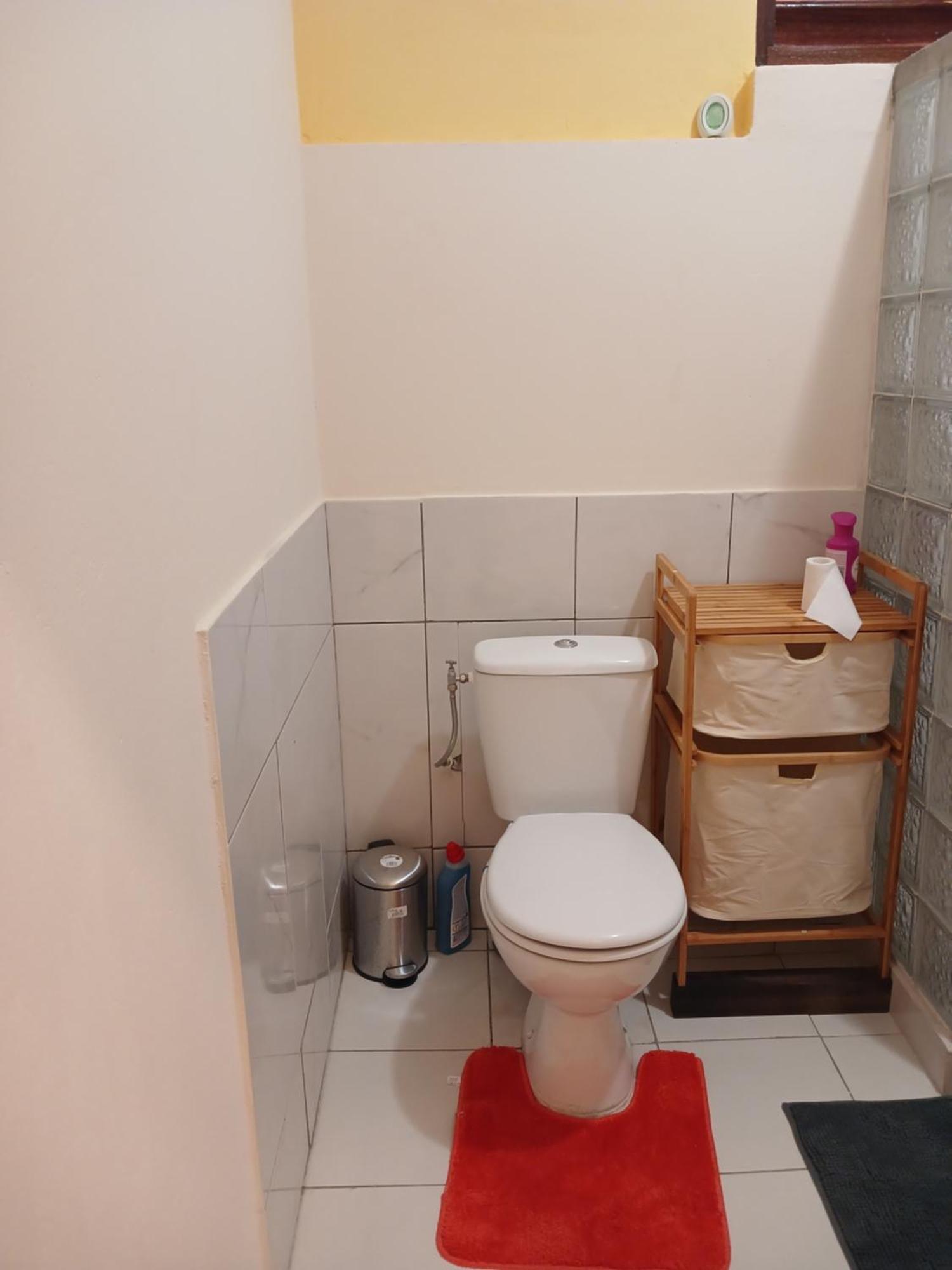 Les Studios De L'Ouest Saint-Laurent du Maroni Ngoại thất bức ảnh
